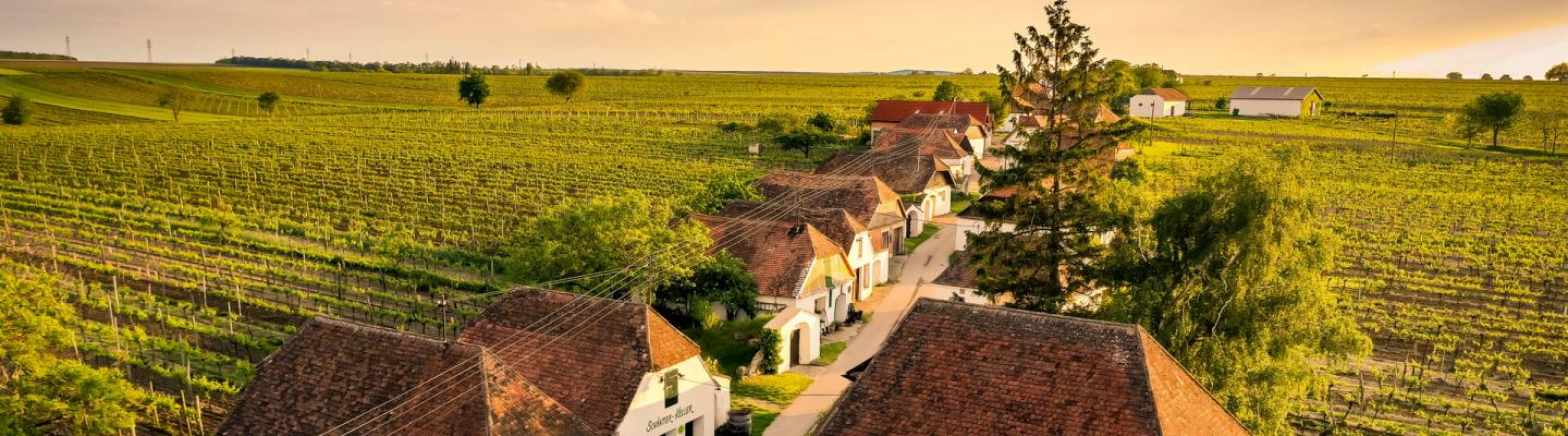 Kellergasse Pillersdorf | © Weinviertel Tourismus / Herbst