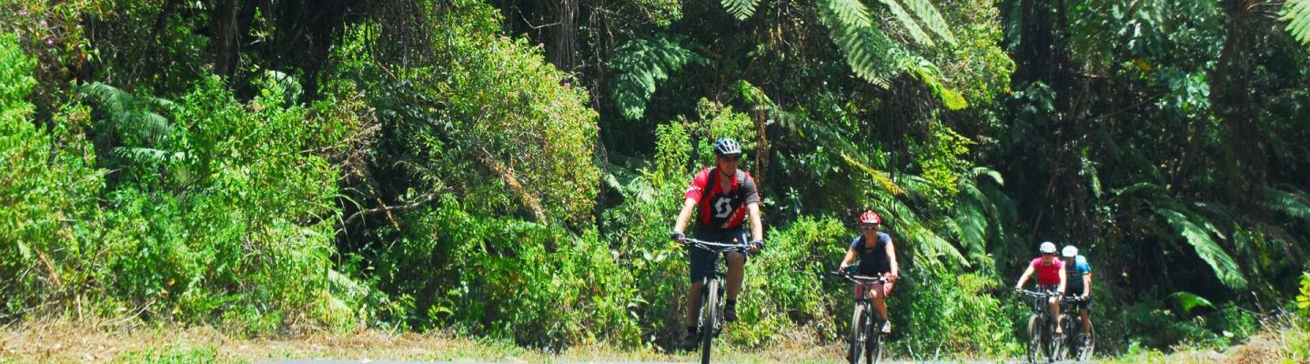 Radfahren whrend der Abfahrt durch den Regenwald von Bali | © CCT