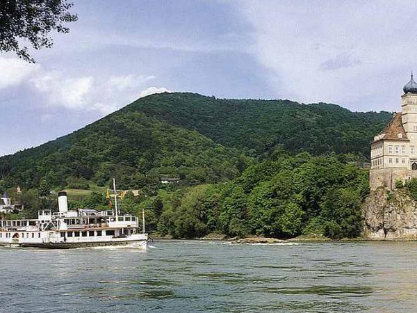 Donauradweg bei Schoenbuehel