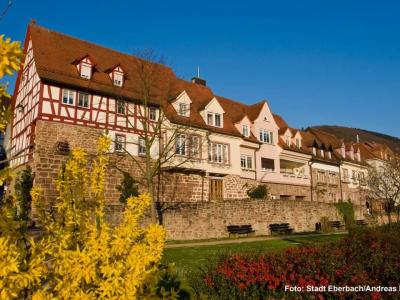 Altstadthuser auf Stadtmauer