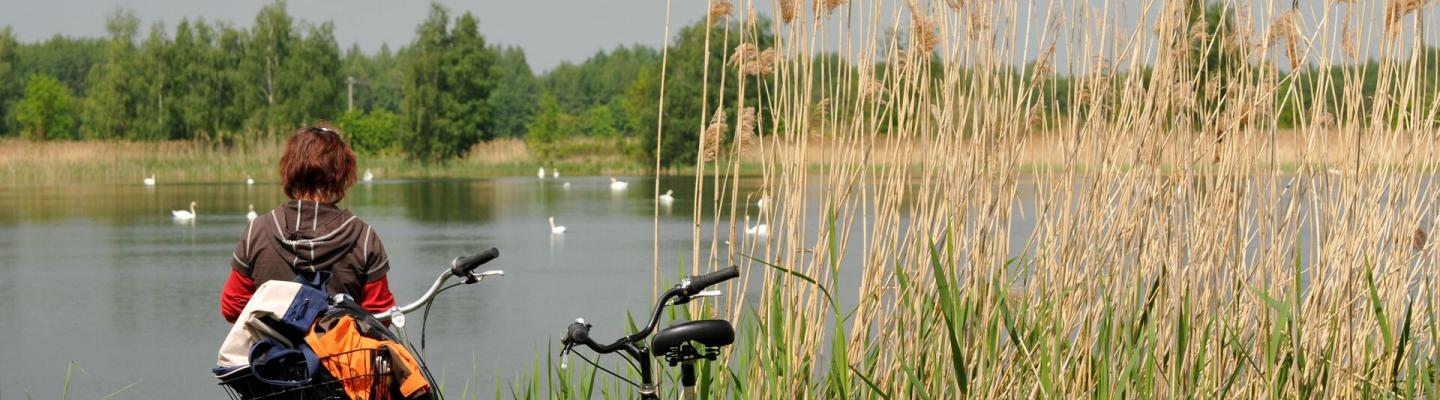 Radfahrer amSee | © AdobeStock35574555