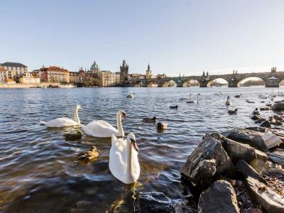 Prague - charles bridge