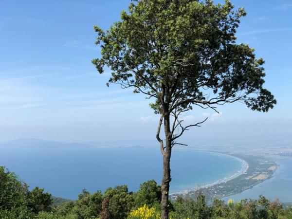 Blick �ber eine Bucht