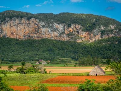 Tabakfarm in Vinales - Vinales Tobacco farming