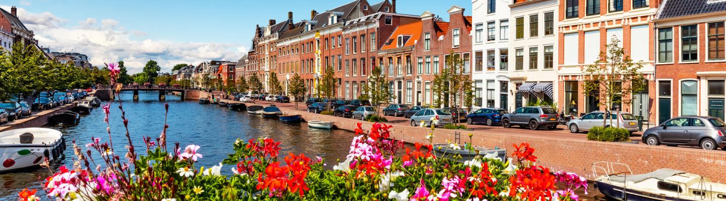 Altstadt Haarlem | © adobe stock/Oleksiy Mark