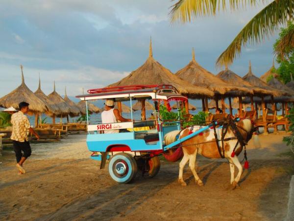 Pferdekutschen auf Gili Islands