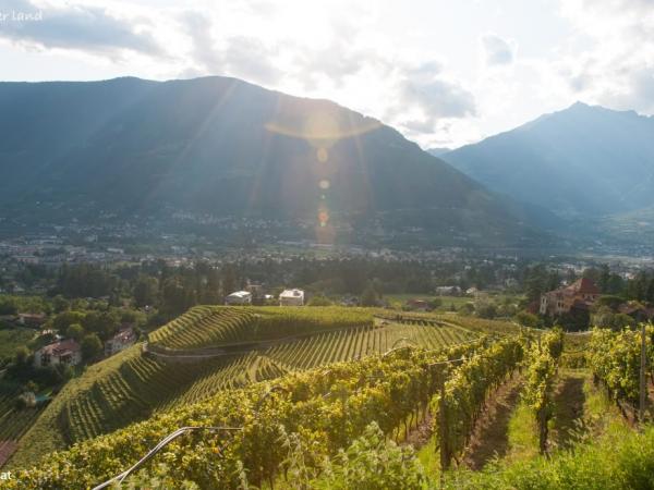 Meraner Land  - Meraner view