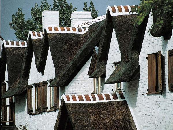 Rietbedeckte Haeuser