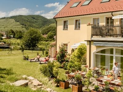 Ad vineas Nikolaihof von Auen