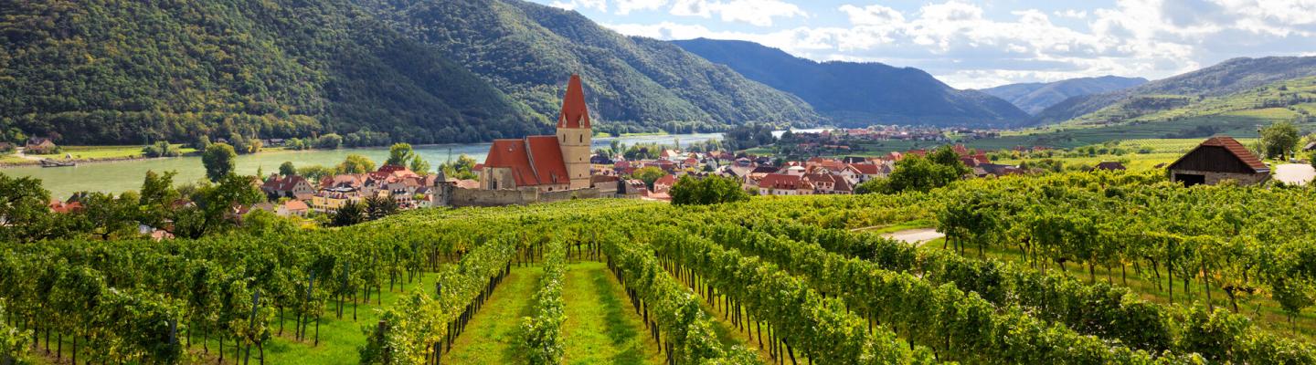 Blick auf Weissenkirchen in der Wachau | © sterreich Werbung/tinefoto.com | martin steinthaler